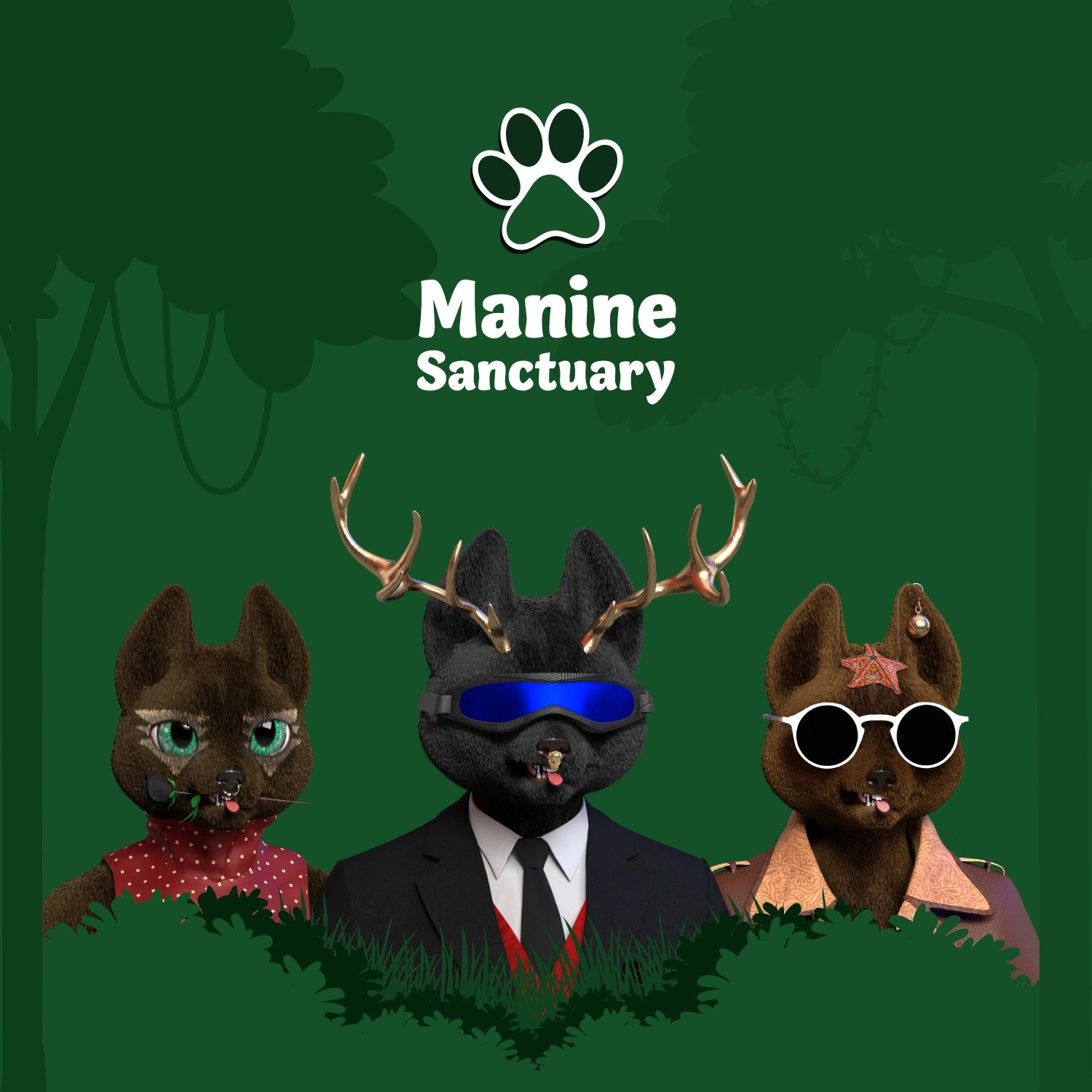 Manine Sanctuary