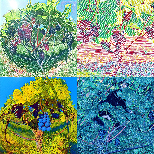 grAPEvines