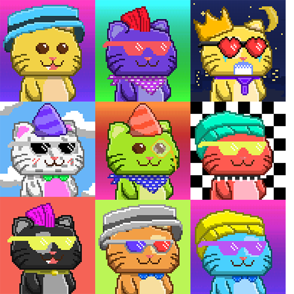 CoolCrazyCatos